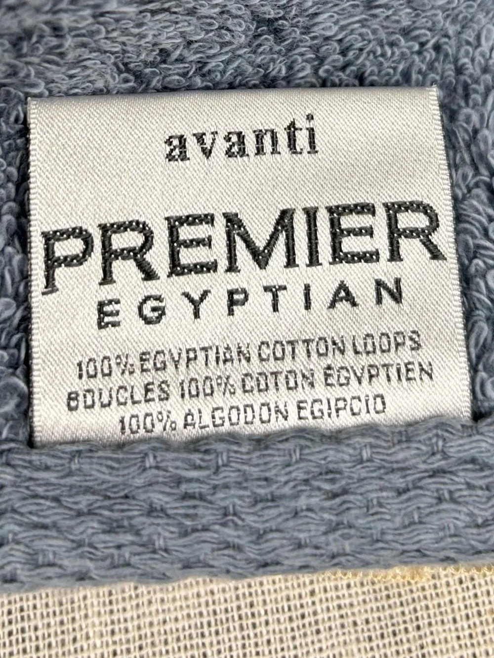 NEW Avanti Premier Egyptian Cotton Bath Towels Set of 2 Blue & Paisley 26x52